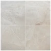 Vanilla Beige
